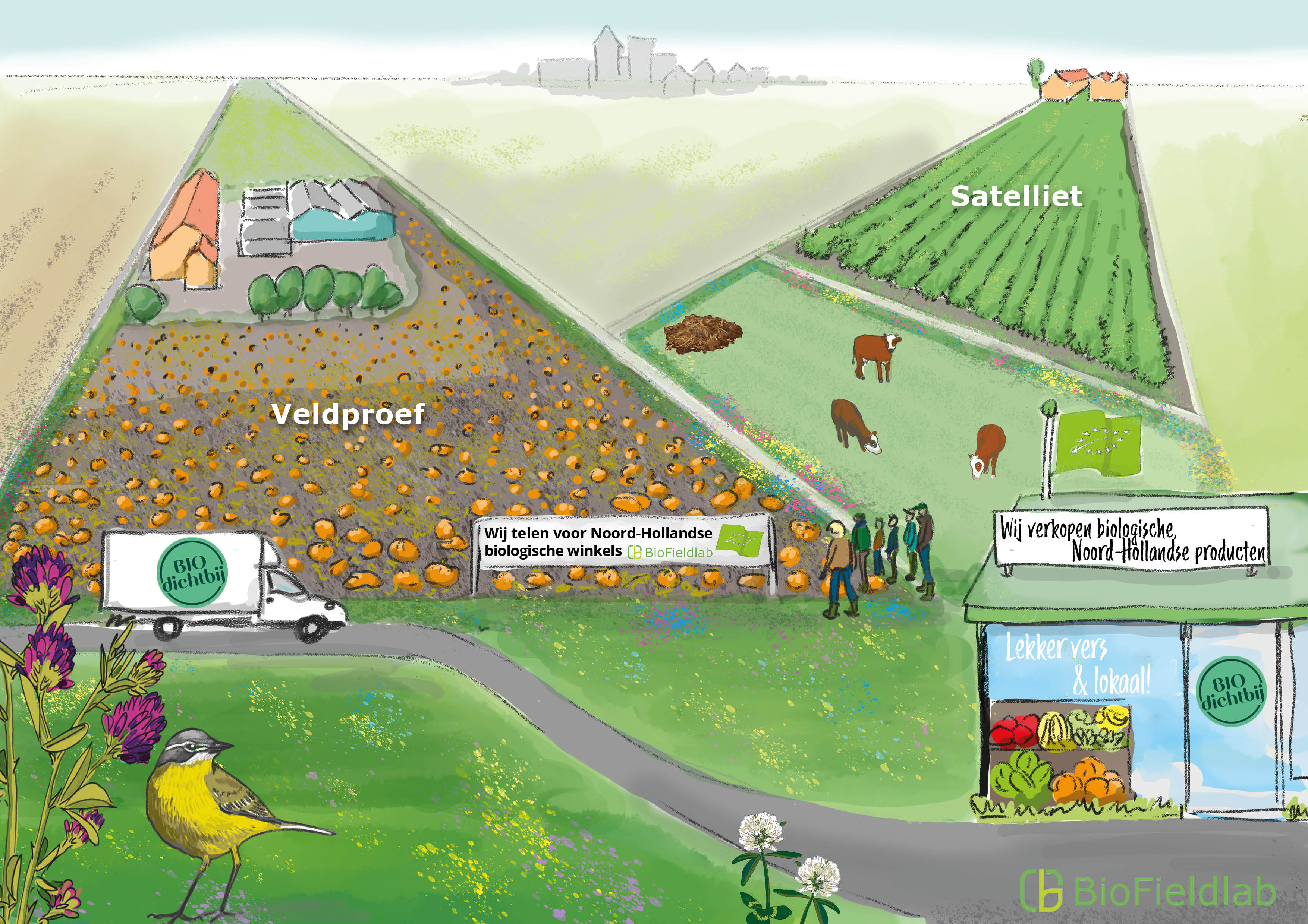 Afbeelding van biofieldlab